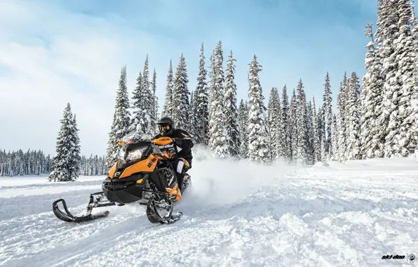 Picture Forest, Snowmobile, Snowmobile, Ski-Doo