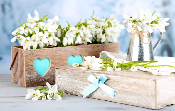 Gift, bouquet, spring, snowdrops, white, flowers, spring, delicate