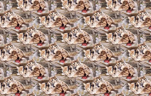 Picture sleep, texture, art, kitty