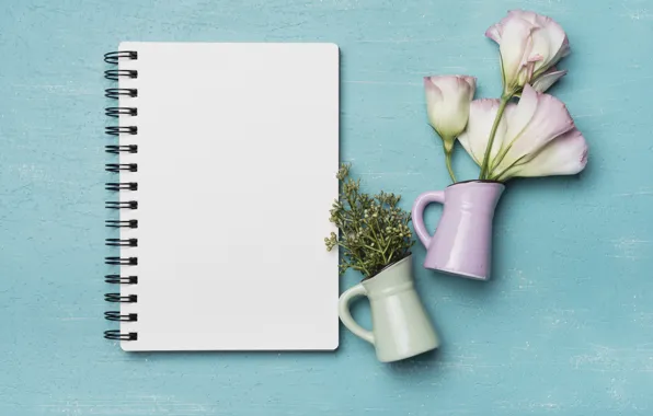 Flowers, Notepad, eustoma