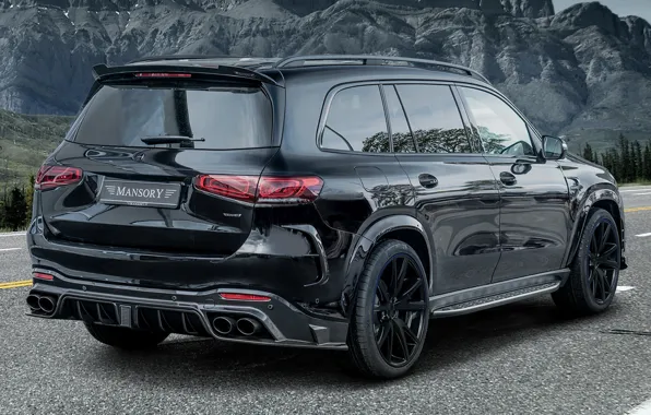 Mercedes-Benz, design, tuning, power, mountains, Mansory, asphalt, exterior