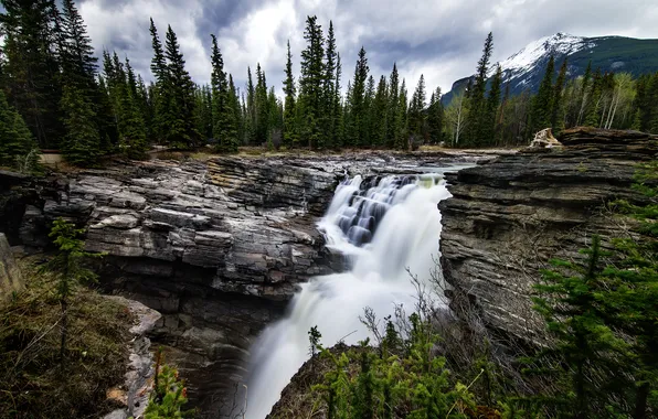 Picture forest, mountains, waterfall, Canada, Athabasca Falls in Alberta