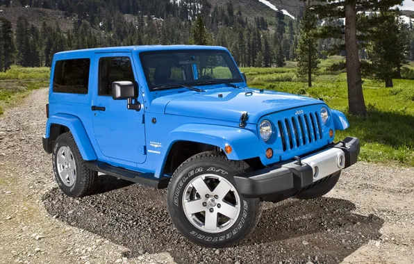 Picture trees, background, SUV, Jeep, Sahara, the front, Wrangler, Ringler