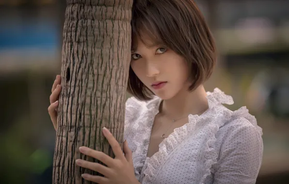 Look, girl, tree, trunk, blouse, brown hair