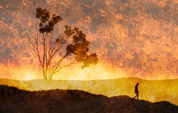 Picture trees, fantasy, silhouette, Feeling the Heat