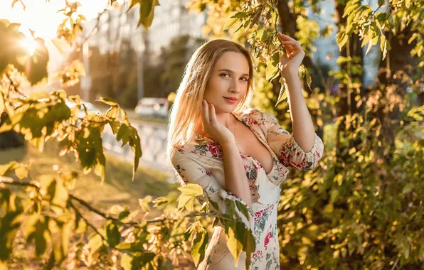 Look, leaves, the sun, trees, branches, pose, model, portrait