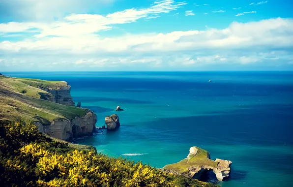 Picture sea, the sky, grass, clouds, nature, rock, open, the ocean