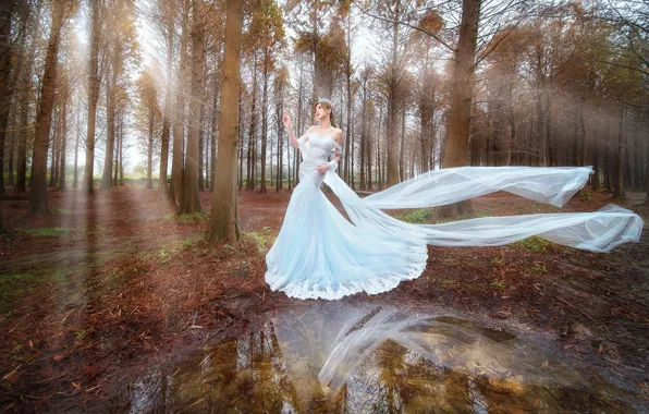 Autumn, forest, white, girl, rays, light, trees, landscape