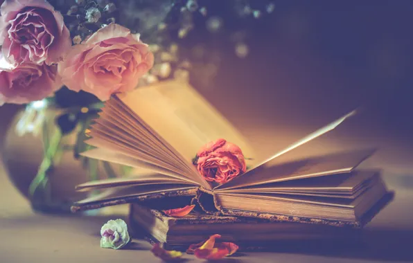 Flowers, style, books, roses, bouquet, petals, Bud