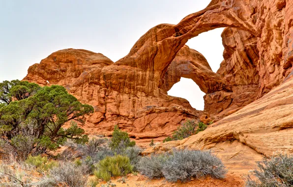 The sky, trees, rocks, arch, USA, the bushes, Arches National Park, uta