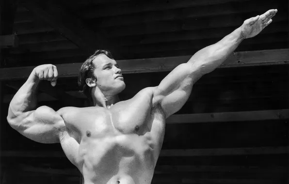 Black and white, Arnold Schwarzenegger, Arnold Schwarzenegger, aesthetics