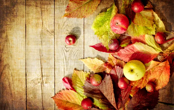 Picture autumn, apples, Board, green, red, leaves