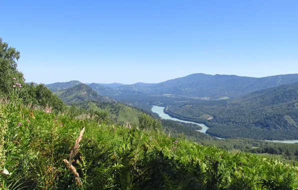 The sky, mountains, river, fern, Altay, Katun