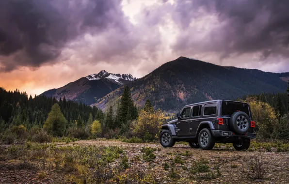 Picture forest, the sky, vegetation, tops, 2018, Jeep, dark gray, Wrangler Sahara