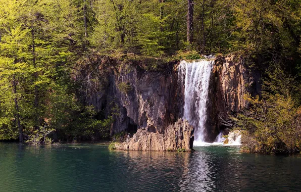 Picture forest, the sun, trees, lake, waterfall, Croatia, Plitvice National Park