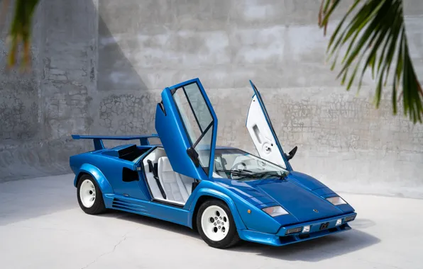 Lamborghini, Lambo, Countach, Lambo doors, Lamborghini Countach 5000QV