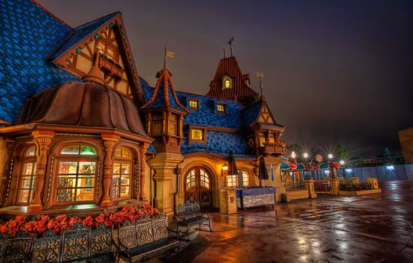 Picture flowers, night, lights, house, USA, CA, Disneyland