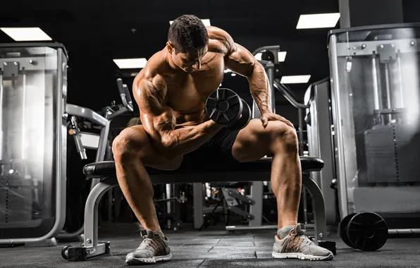 Body, chest, brutal, bodybuilding, caucasian, biceps, bodybuilder