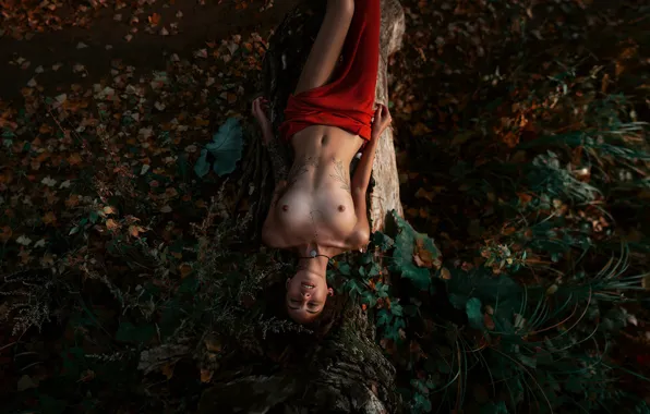 Chest, girl, tattoo, Lera, Maxim Gontarev