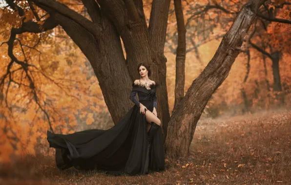 Picture autumn, girl, trees, pose, dress, beautiful, Irina Chernyshenko