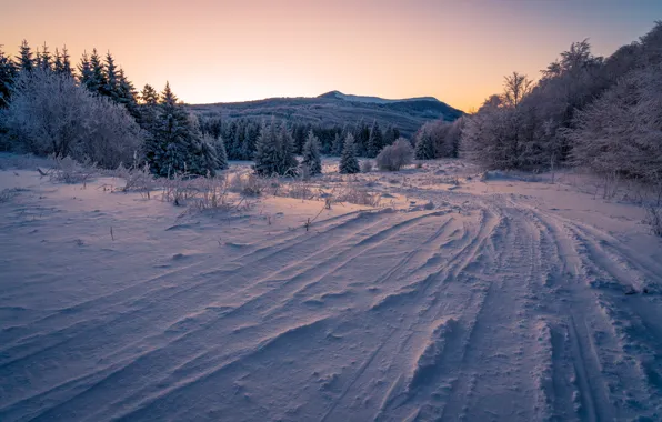 Picture winter, road, forest, the sky, snow, mountains, branches, the evening