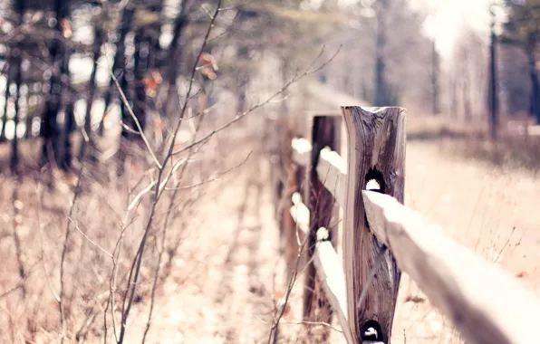 Autumn, the fence, macro, fence, blur, bokeh, warm