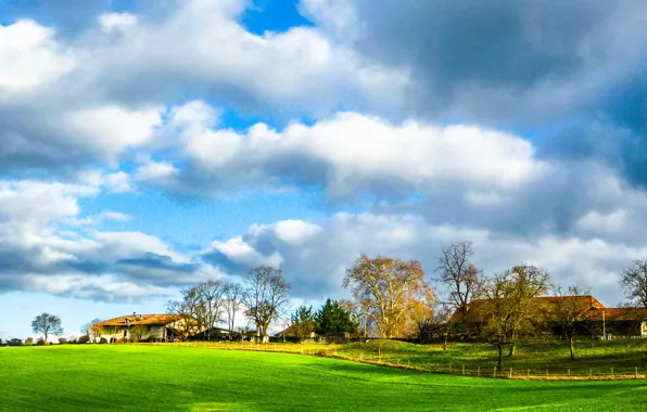 Picture field, autumn, the sky, clouds, trees, home, Nature, village