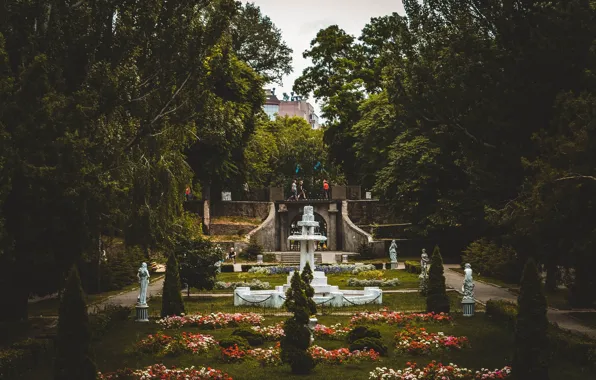 Flowers, Park, the darkness, sculpture