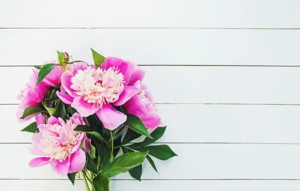 Picture flowers, bouquet, pink, wood, pink, flowers, beautiful, peonies