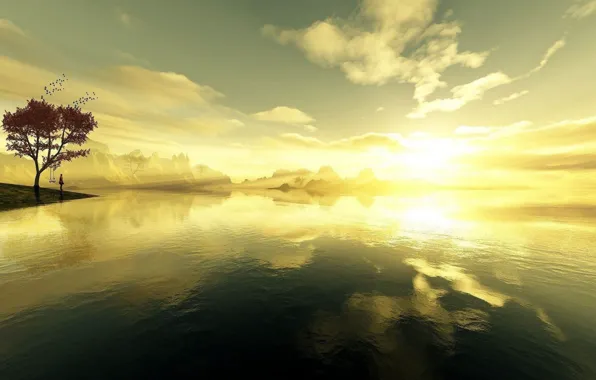 Nature, Sun, Yellow, Land
