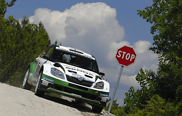 Picture The sky, Race, Sign, Rally, Rally, The front, Skoda, Fabia