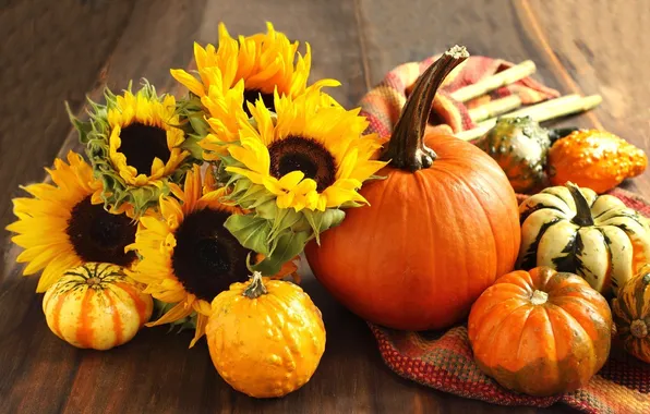 Picture flowers, orange, table, pumpkin, podsolnuhi