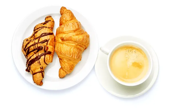 Picture coffee, plate, Cup, white background, drink, croissant