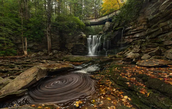 Picture autumn, trees, bridge, river, stones, waterfall, cascade, West Virginia