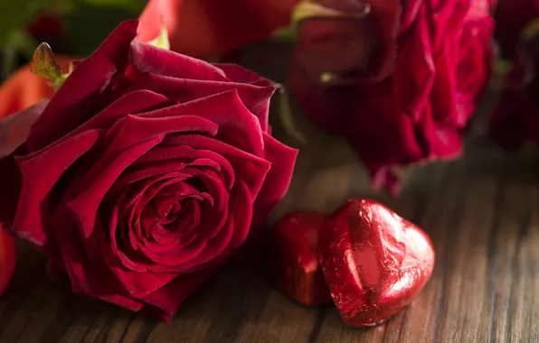 Hearts, red, love, heart, romantic, gift, roses, red roses