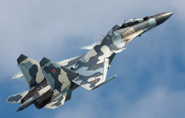 Picture fighter, Dry, Su-30MKM