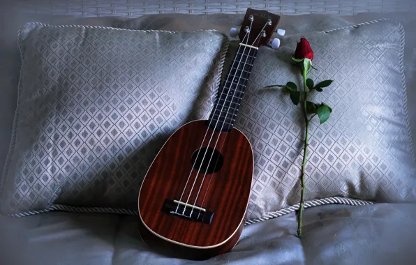 Rose, ukulele, pillows, Love Song