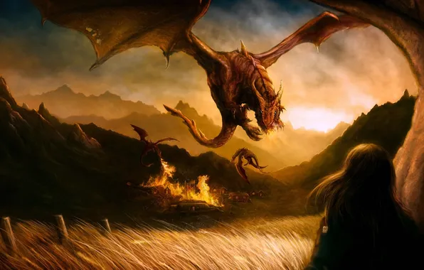 Picture grass, girl, mountains, fire, dragons, art, rodg-art