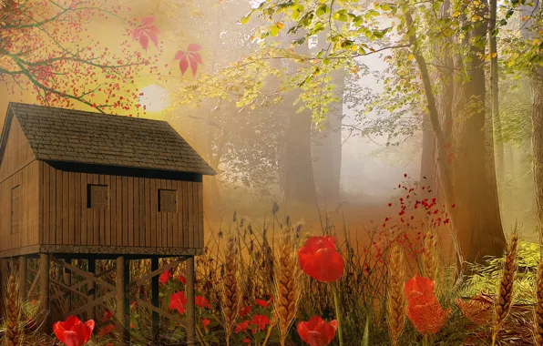 Picture flowers, style, background, home