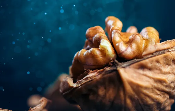 Macro, bokeh, walnut