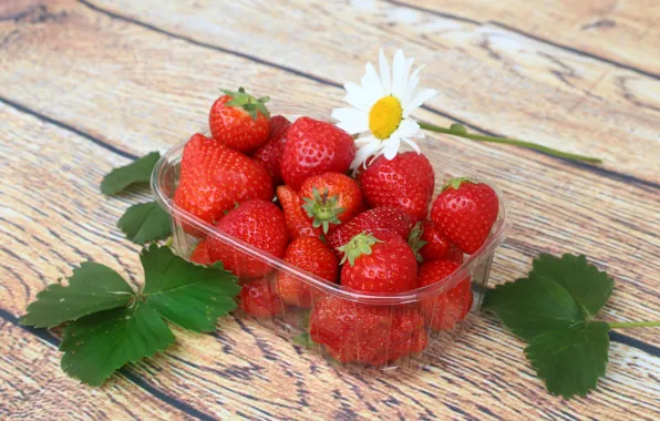 Berries, Strawberry, ripe