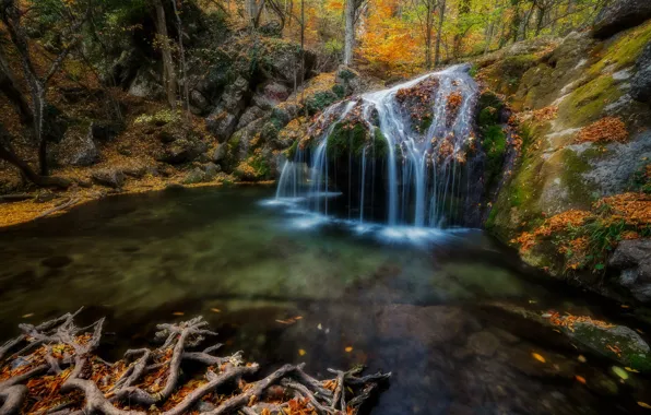 Picture autumn, forest, trees, landscape, nature, river, stones, foliage