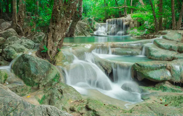 Picture forest, landscape, river, rocks, waterfall, summer, forest, tropical