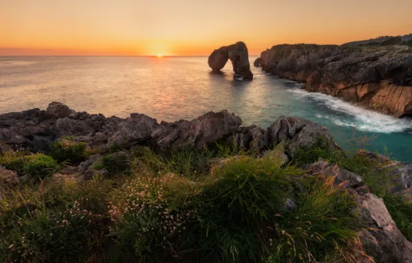 Sea, rocks, shore, vegetation, view, arch