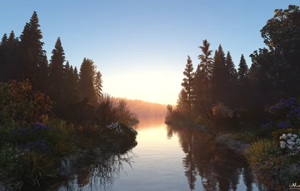 Reflection, river, vegetation, Bank, morning rays