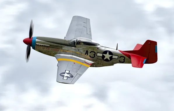 Fighter, P-51D, period, single, The second world war, long-range