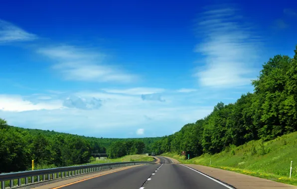 Picture road, greens, the sky, grass, leaves, clouds, trees, nature