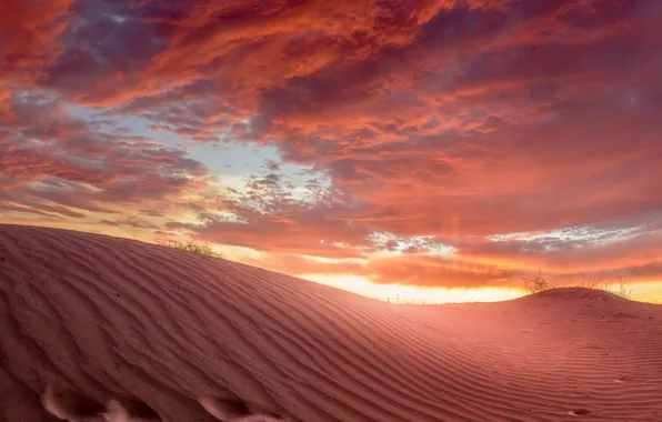 Picture sand, the sky, desert
