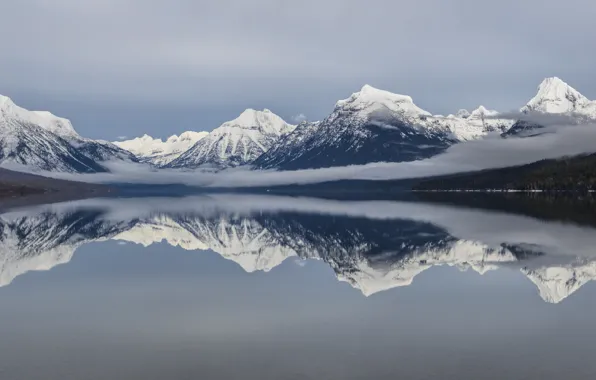 Forest, water, snow, trees, mountains, fog, lake, reflection