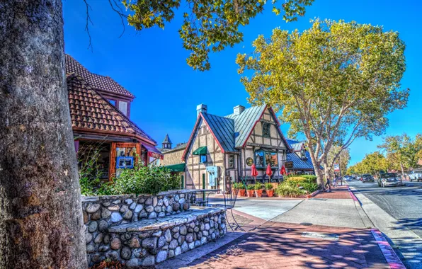 Road, trees, street, home, treatment, CA, USA, Sunny